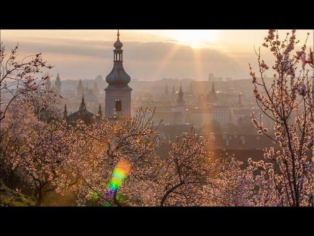 Прекрасная Прага (прогулка)