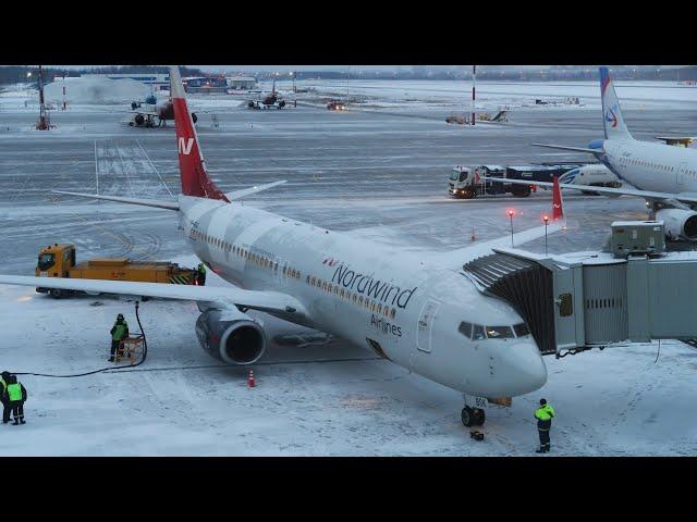 Nordwind Airlines Boeing 737-800 | Saint Petersburg - Istanbul