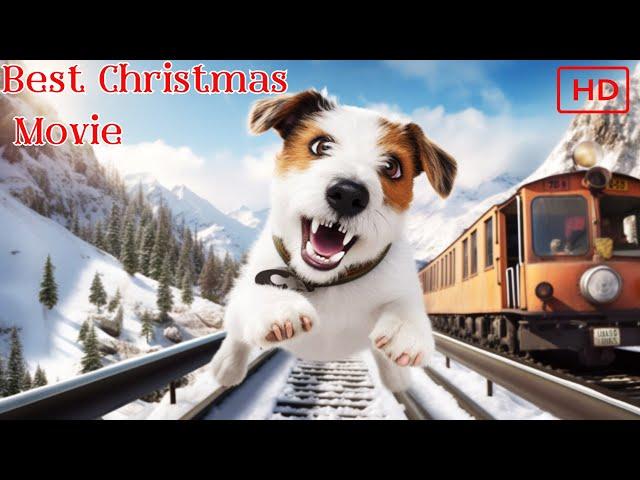 The Best Christmas Movie | Escaped CIA dog bonds with brothers before Christmas | Family Adventure