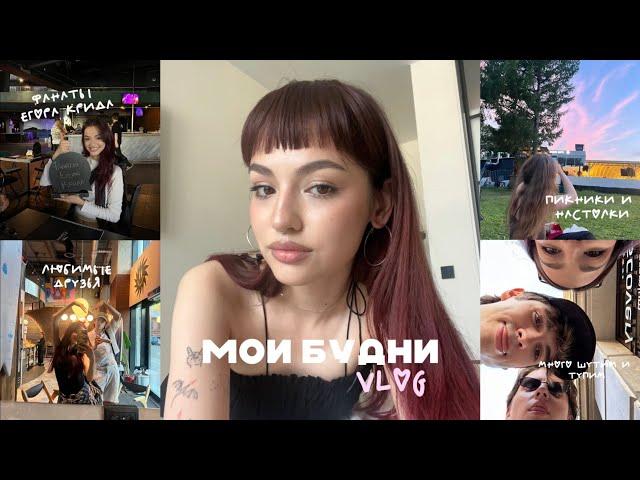 VLOG | МОИ БУДНИ | ПИКНИК | МЫ ФАНАТЫ ЕГОРА КРИДА...