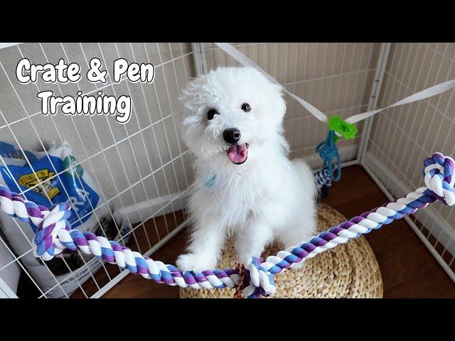 Mom's Secrets to Crate & Pen Training (Puppy Reveals)