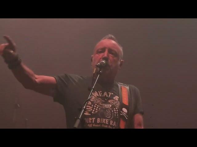 Peter Hook & The Light - No Love Lost (Live In Belfast, 2024)