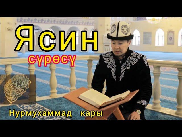 Ясин сүрөсү - Нурмухаммад кары