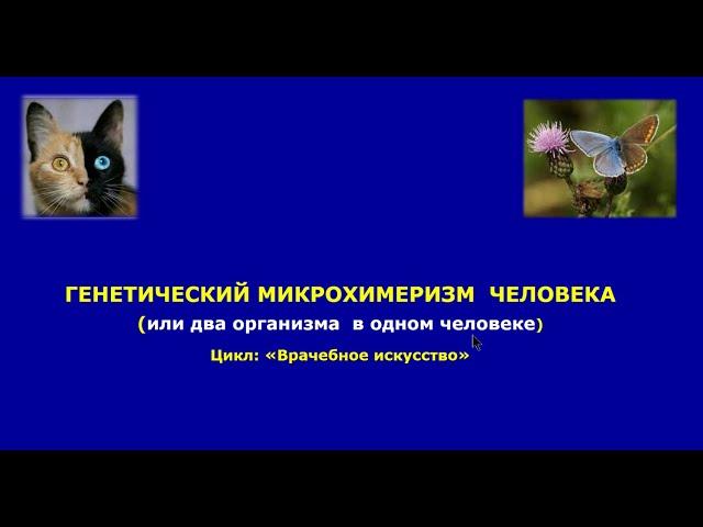 Лекция "Генетический микрохимеризм человека или 2 организма в одном человеке."