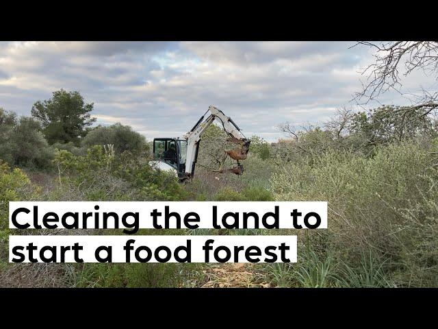 #22 It's digger time! We're clearing our land to start a food forest.