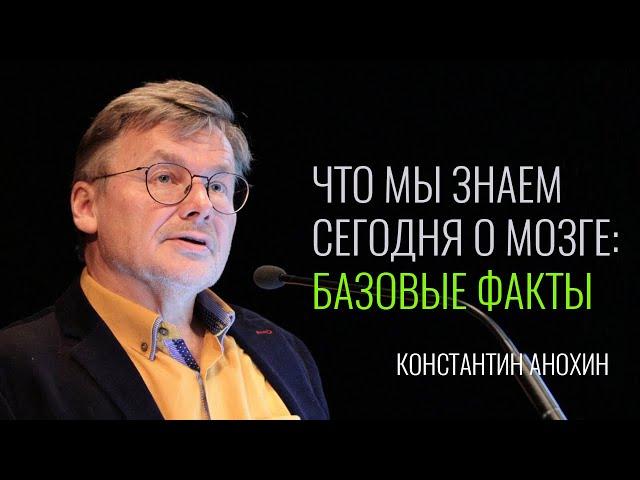 Что мы знаем сегодня о мозге: базовые факты. Константин Анохин