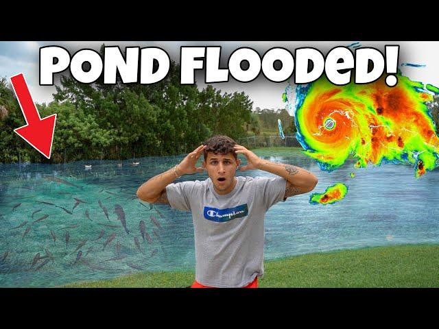 My FISH ESCAPED My BACKYARD POND!!