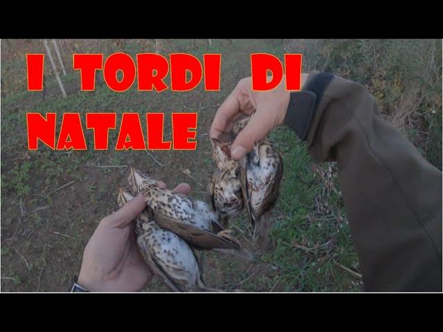 CACCIA: I TORDI DI NATALE- ULTRA HD -4K