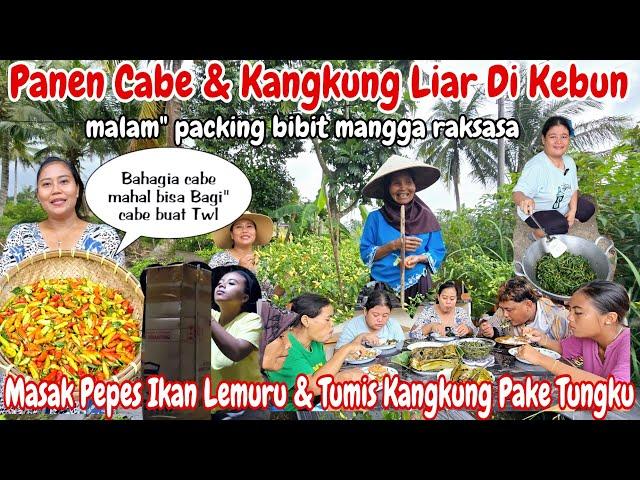 PANEN CABE & KANGKUNG LIAR‼️ MASAK PEPES LEMURU & TUMIS KANGKUNG || M' PESI & M' MAUL KERJA LEMBUR