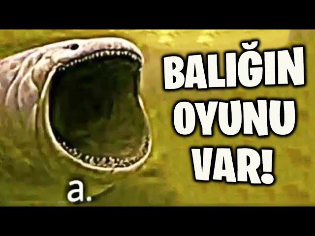 BU BALIĞA OYUN YAPMIŞLARR!