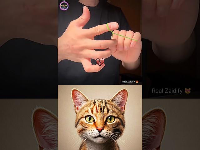give this video title 🪄 (warning answer) #cat #memes #dance #trending