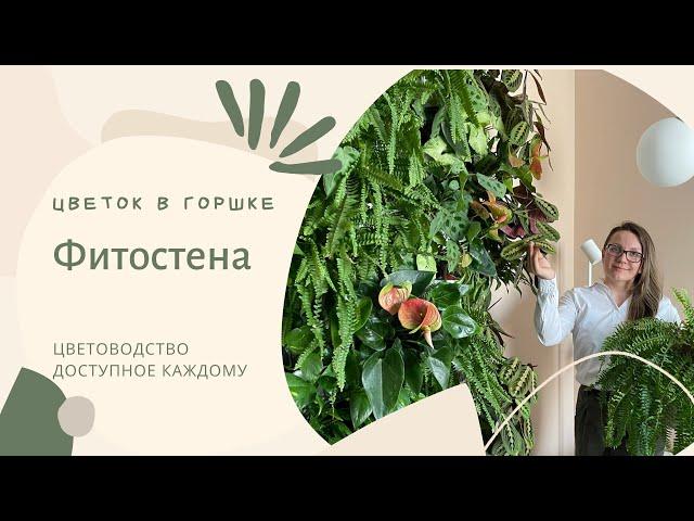 Фитодизайн. Растения для фитостены