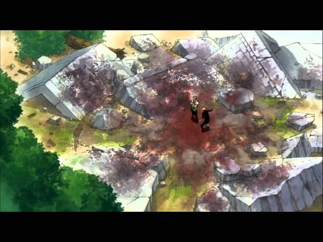 One Piece - Zoro after taking Luffy's pain