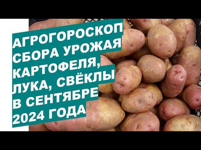 Агрогороскоп сбора урожаяовощей в сентябре 2024Agrohoroscope for vegetable harvest in September 2024