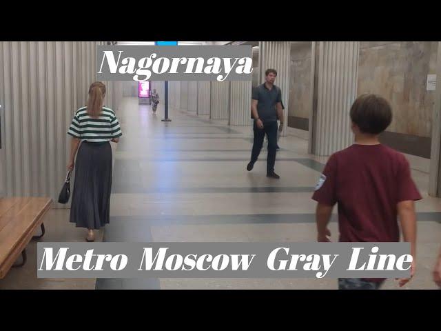 Nagornaya station. Moscow Metro, Gray Line  Fragment (completely)