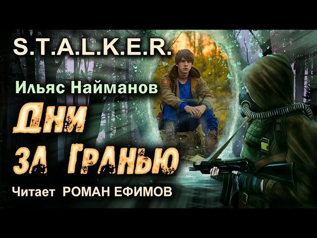 S.T.A.L.K.E.R. Дни за Гранью (аудиокнига). БОЕВАЯ ФАНТАСТИКА. Ильяс Найманов. Читает Роман Ефимов.