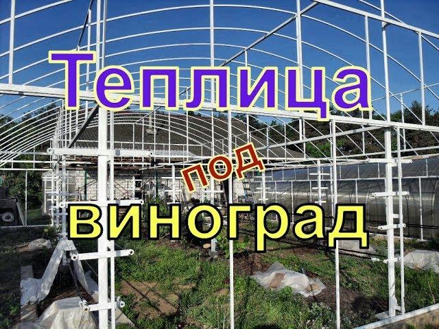 Виноград . Металлическая теплица для винограда.