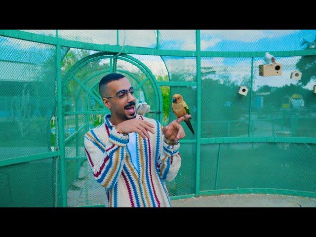 دكتور سليم -  كلو سيطرة | ( OFFICIAL MUSIC VIDEO ) Dr.Slim - KOLLO SAYTARA