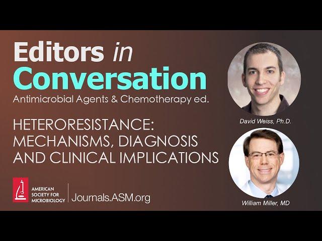 Heteroresistance: Mechanisms, Diagnosis and Clinical Implications