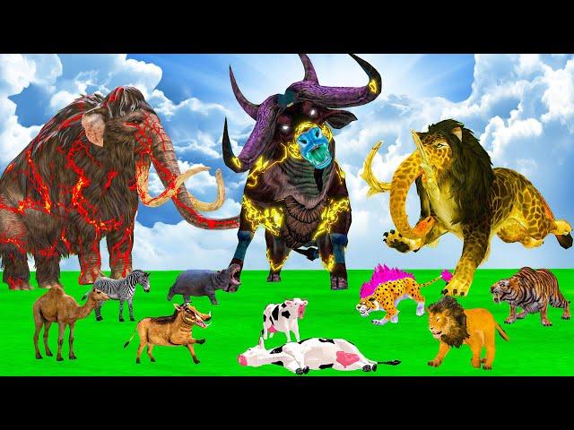 Black Lion Fight White Tiger Vs Lion King Attack Cow Cartoon Buffalo Elephant Save By Woolly Mammoth