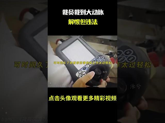 “裁员裁到大动脉，员工离职前要删掉自己做的程序，解恨但违法”#名场面 #离谱操作 #杂谈