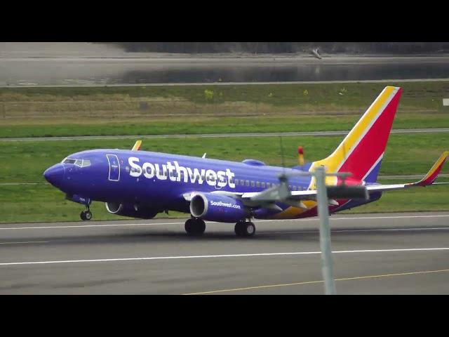 Southwest Boeing 737-800 taking off