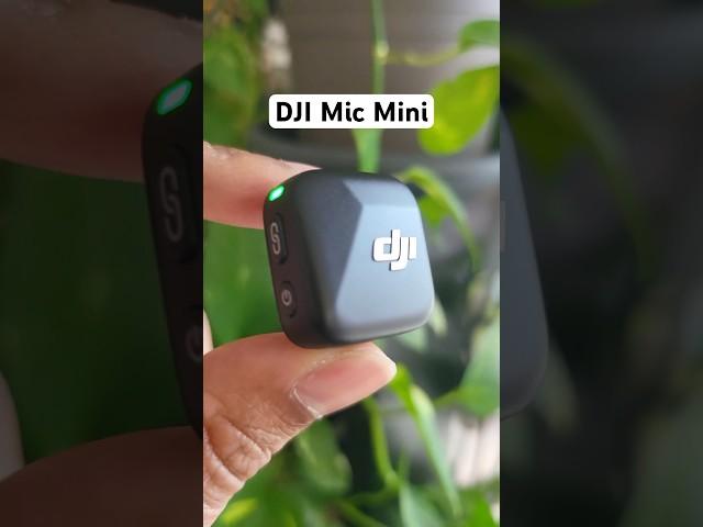 DJI Mic Mini - Unboxing & Sound Test