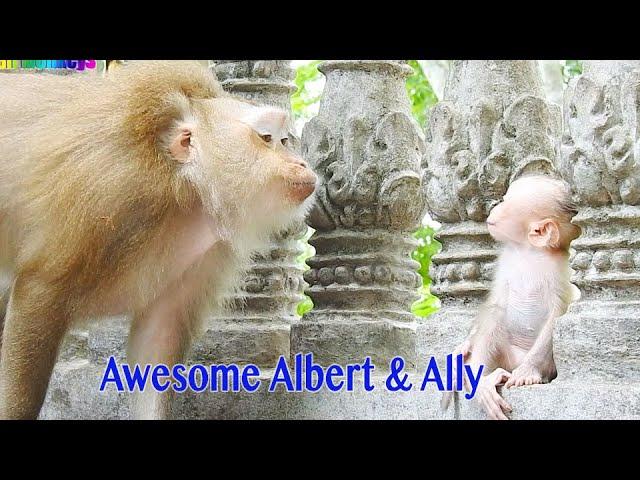 Awesome Mama Ally Lip Smacking With Gorgeous Baby Albert Looking So Wonderful  ( Review Video )