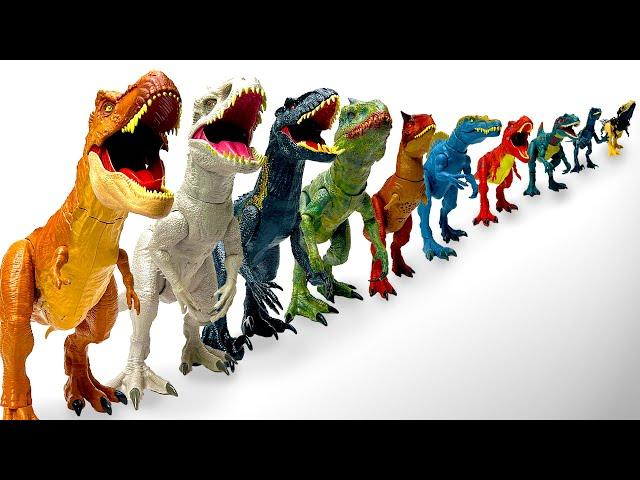 The BEST Biggest To Smallest JW Dinosaur Lineups! | Amazing Dinosaurs