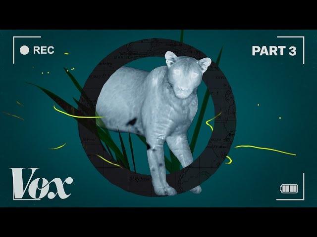 How the BBC films the night side of Planet Earth