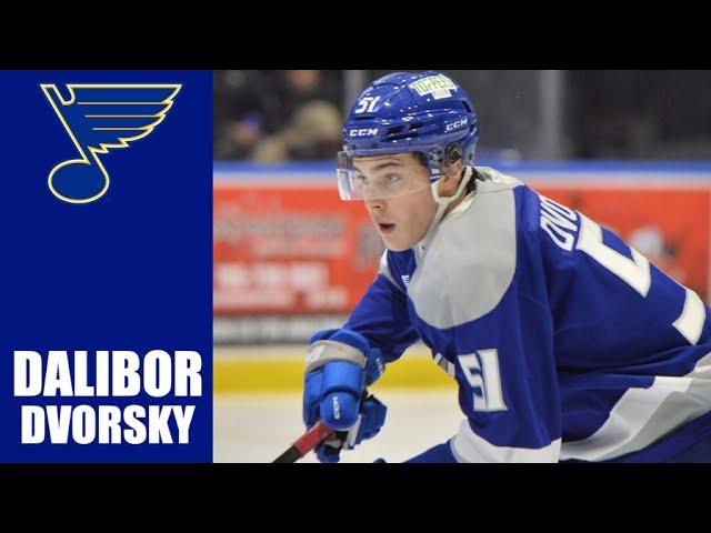 NHL Prospects : Dalibor Dvorsky - 23-24 Highlights