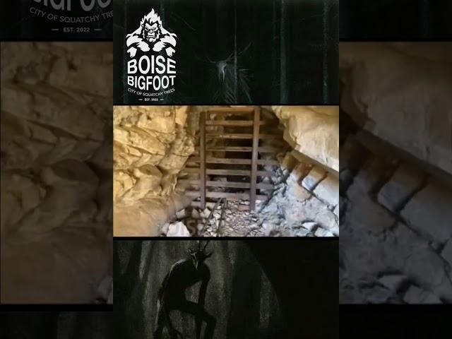 Skinwalker, Rake, or Wendigo? You decide #wendigo #paranormal #cryptid #folklore #foryourpage #yeti