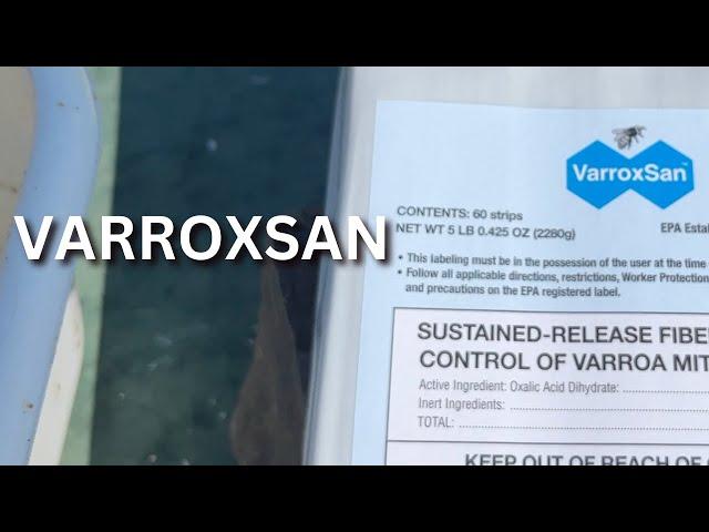 VarroxSan