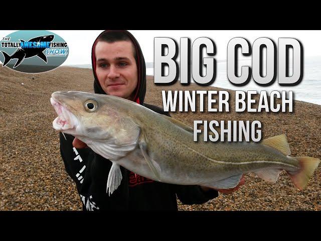 Fishing for Big Cod from the beach  | TAFishing