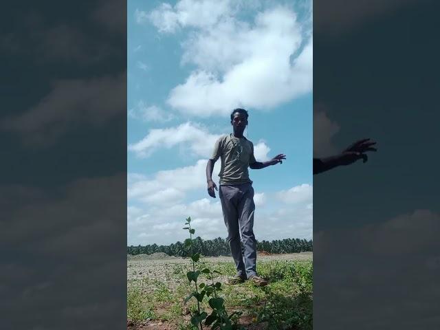Kamlesh oraon