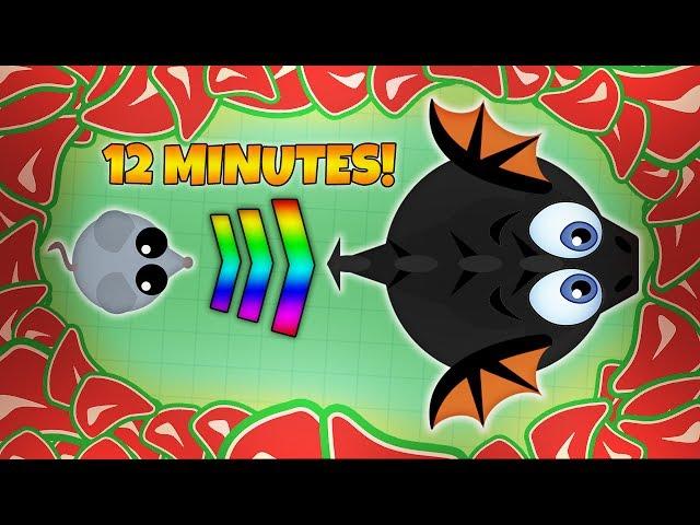 MOPE.IO FROM MOUSE TO BLACK DRAGON IN 12 MINUTES | Mope.io World Record!