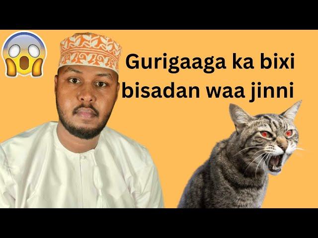 #Gurigaaga ka bixi Bisadan Waa Jinni Hadii aad 5 Arimod ku aragtid mid ka mida