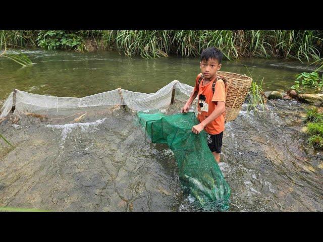 fish trap, fish trap making technique, highland boy khai harvested 12kg of stream fish for sale