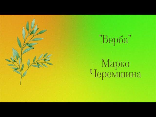 Марко Черемшина. "Верба".