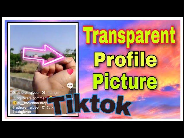 Tiktok transparent Profile Picture Trend | How to hide dp in Tiktok || Tutorial Master