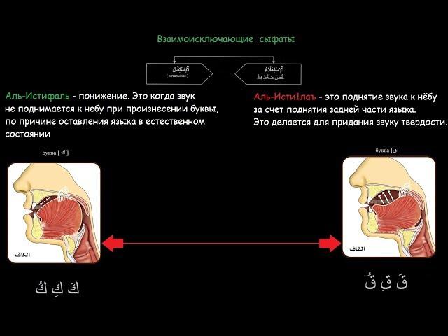 2 курс. 18 урок. Аль-Исти1лаъ, Аль-Истифаль