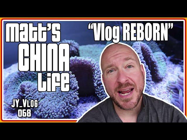 WHY DO I VLOG: REBORN | MATT'S CHINA LIFE