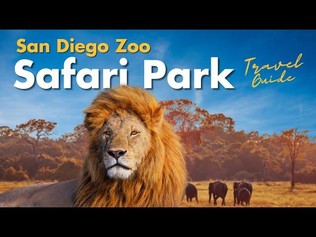 San Diego Zoo Safari Park - Best Things to Do in 2024