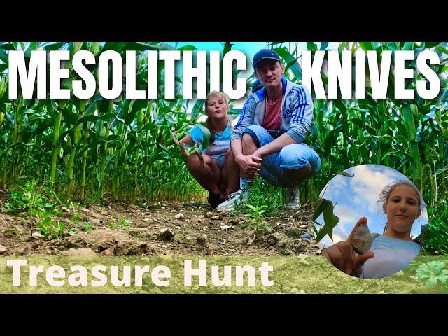 Prehistoric Mesolithic Knives | Treasure Hunt