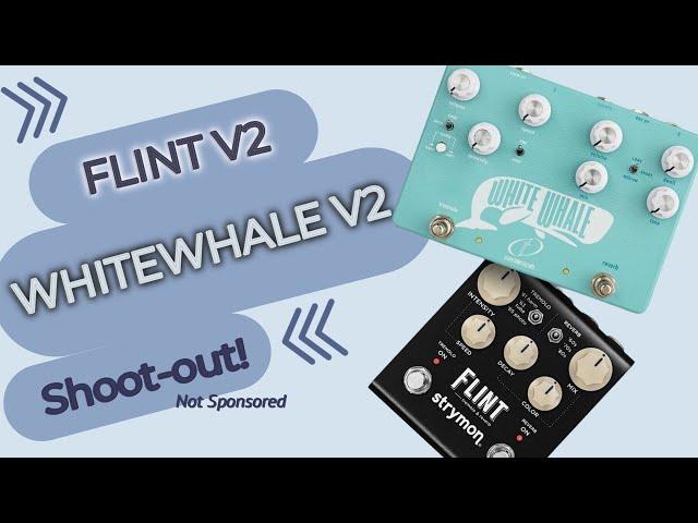 White Whale V2 Vs Strymon Flint V2  | Strymons Digital Marvel Vs Analog Goodness