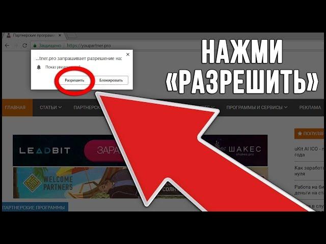 ЗА КАЖДУЮ ПОДПИСКУ РЕАЛЬНО ПЛАТЯТ! КАК ЗАРАБОТАТЬ ДЕНЬГИ НА PUSH-ПОДПИСКАХ В ИНТЕРНЕТЕ