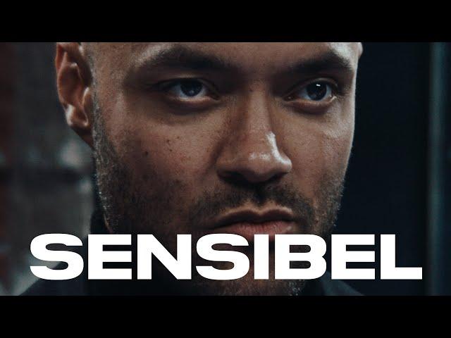 K.I.Z - Sensibel (Album Countdown Visual) (prod. by Drunken Masters)