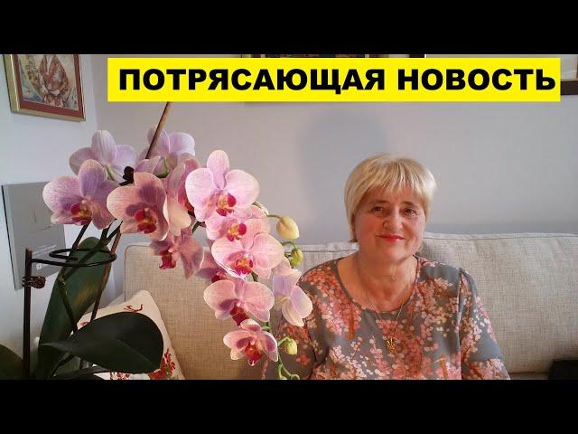 НЕОЖИДАННО ПОТРЯСАЮЩАЯ НОВОСТЬ