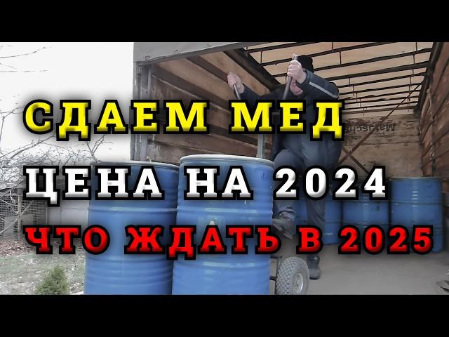 Жизнь и работа "Барыги" скупщика меда. Сдаем мед оптом, цена на декабрь 2024года.