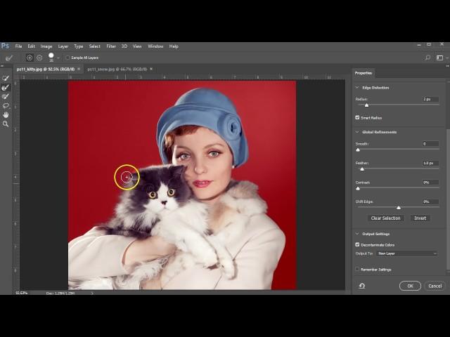 Quick Selection tool exercise for Adobe Photoshop 2017